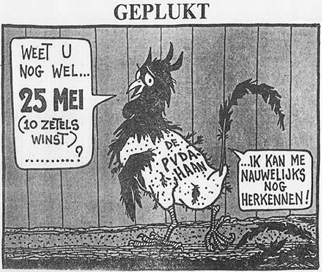 Geplukte PvdA-haan Geplukte PvdA-haan