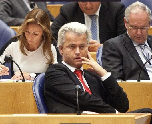 Wilders gewogen. 15 jaar reuring in de Nederlandse politiek